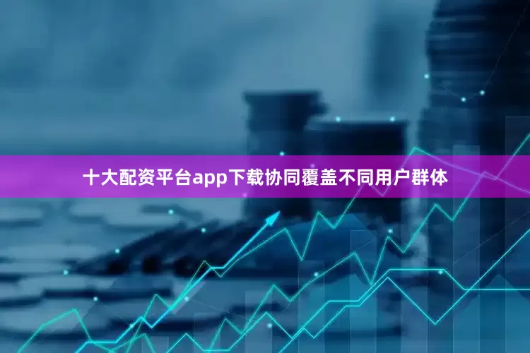 十大配资平台app下载协同覆盖不同用户群体